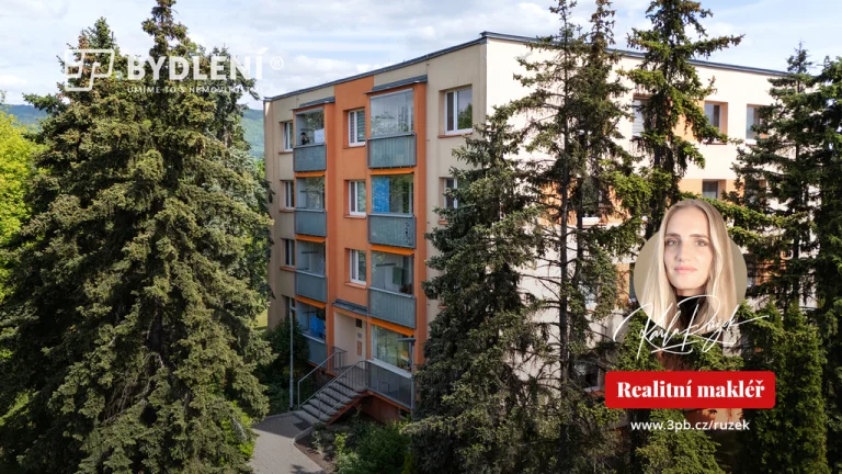 Prostorný a světlý byt 3+1+L po rekonstrukci v klidné lokali