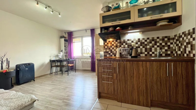 Pronájem bytu 1+kk, 28 m², Ostrava, ul. Petra Křičky