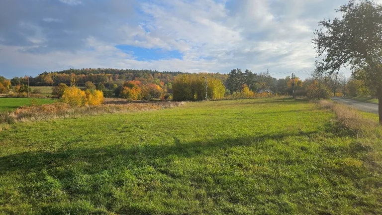 Stavební pozemek 10470m2 - Doksy
