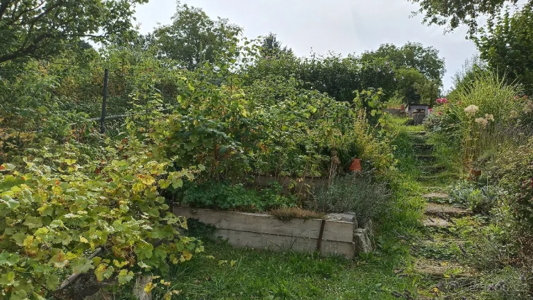Stavební pozemek v obci Lipůvka, CP 1095 m2