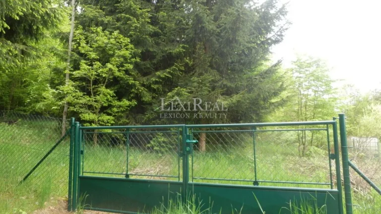 Prodej pozemku 717 m2 Amerika - Nový Jáchymov