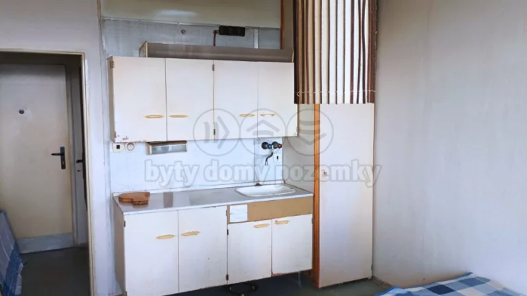 Prodej bytu 1+kk, 25 m², DV, Liberec, ul. Březová alej