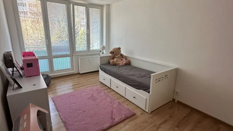 Dvojizbovy byt v Novej Dubnici