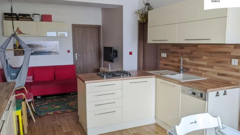 Prodej bytu 3+kk 53 m2 Družstevní, Brno