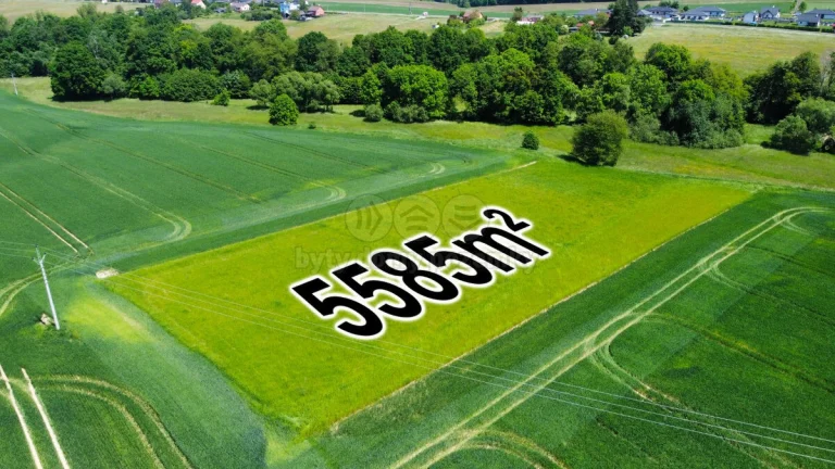 Prodej pole, 5585 m², Sedliště