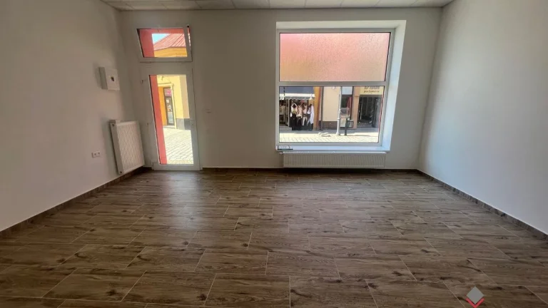 Priestor na PRENAJOM Topoľčany / Centrum
