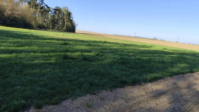 Pozemky s možností výstavby