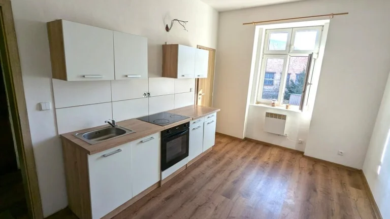 Pronájem bytu 1+1, Žižkova 516/246, Trmice