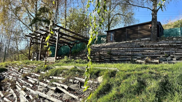 Zahrada (365m2) s chatou (16 m2), pergolou a kolnou - Tachov
