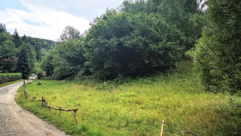pozemok na rekreačné účely - Ružomberok - Trlenská dolina