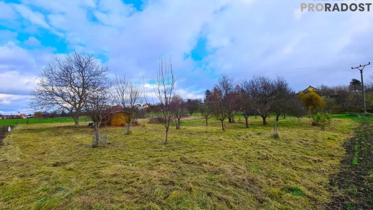 REZERVOVÁNO Prodej zahrady 1000m2, rovina, sad