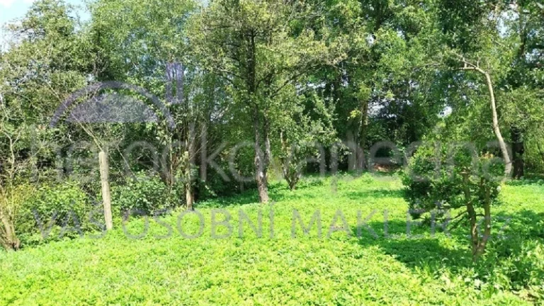 Prodej zahrady o výměře 1237 m2 v obci Prasklice okr. Kroměř