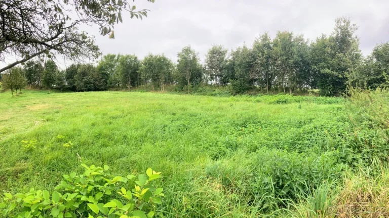 Prodej pozemku, 2 000 m² - Velká Bukovina