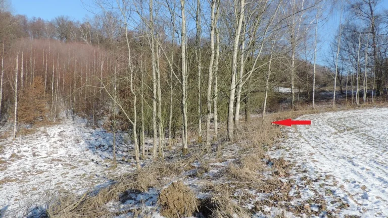 Pozemky 115/1, 138 a 549/3 v k.ú. Hamr na Jezeře