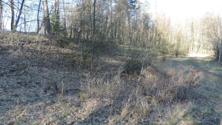 Soubor pozemků v k.ú. Měrunice a v k.ú. Mukov, okr. Teplice