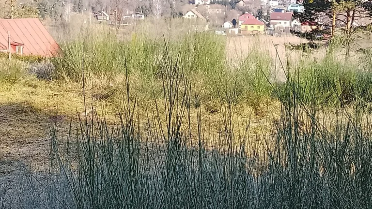 Stavební Týnec n.Sázavou