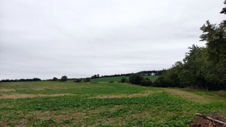 Prodej pole - Zahořany u Mníšku pod Brdy