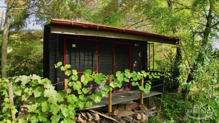 Pozemek s chatou o celkové výměře 725 m2, v obci Jenštejn, P