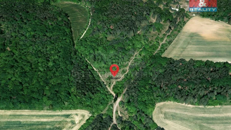 Prodej lesa, 13906 m², Budyně nad Ohří