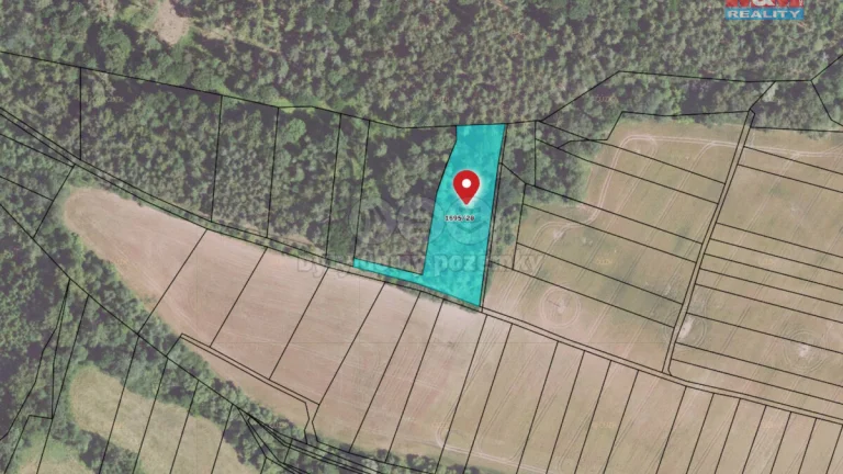Prodej lesa, 3615 m², Kounov