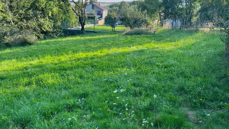 LORINČíK POZEMOK 1996m2