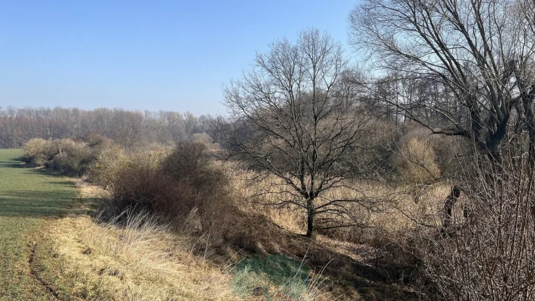 Prodej pozemky - trvalý travní porost, 698 m2 - Praha - Král