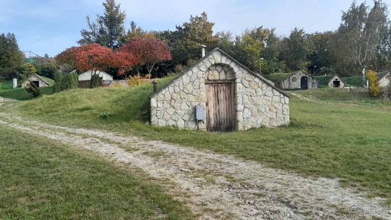 Tokajská pivnica vo Veľkej Tŕni na predaj