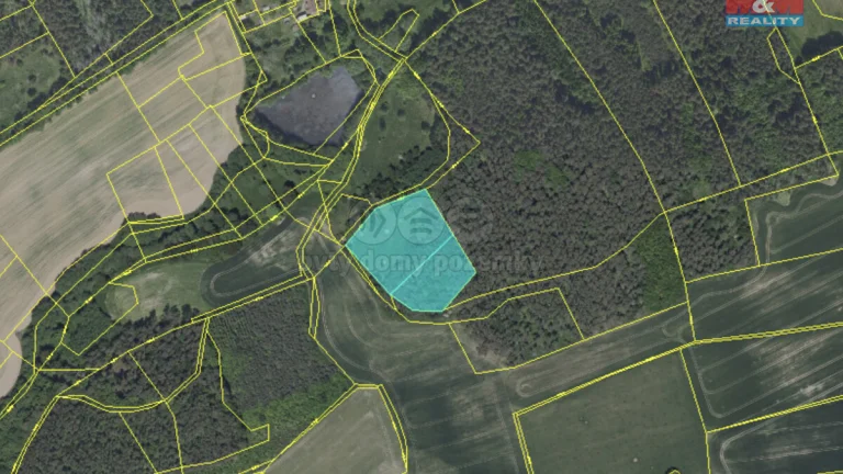 Prodej lesa a travního porostu 8354 m², Neveklov