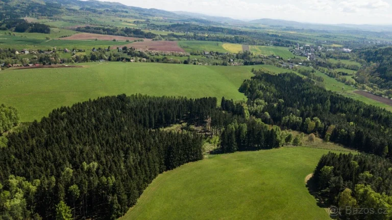 Lesní pozemky Heřmánkovice - 20336 m2