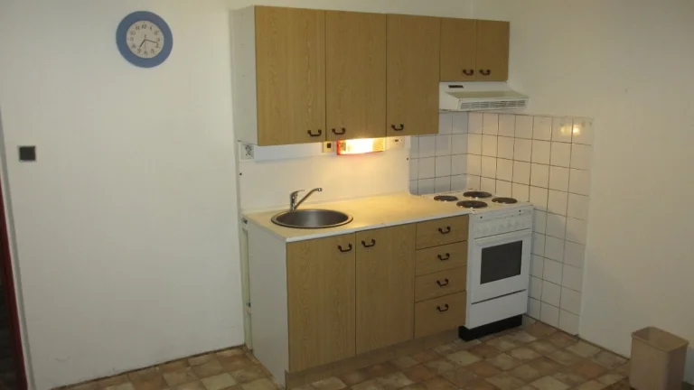 Pronajmu byt 1+KK v Plzni