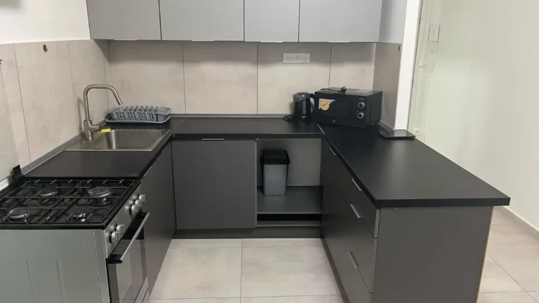 Pronajem bytu 1+1v Biline