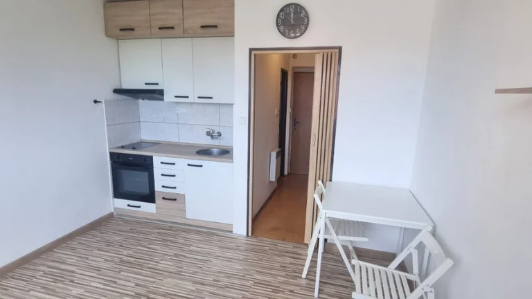 Pronájem částečně zařízeneho bytu 1+kk, 20m2, M.Budějovice