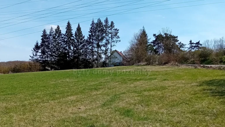 Prodej louky, 4400 m², Vráž, ul. Svatojánská