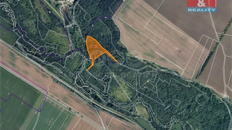 Prodej lesa, 10077 m², Žiželice u Žatce