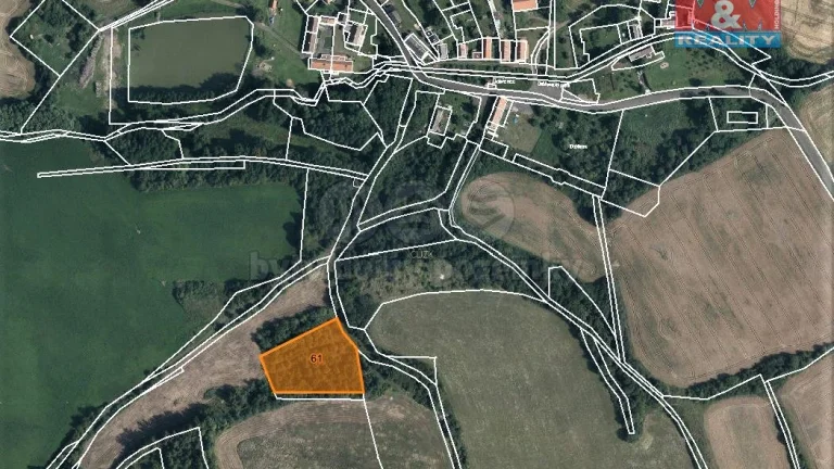 Prodej lesa, 4840 m², Mašťov-Dobřenec