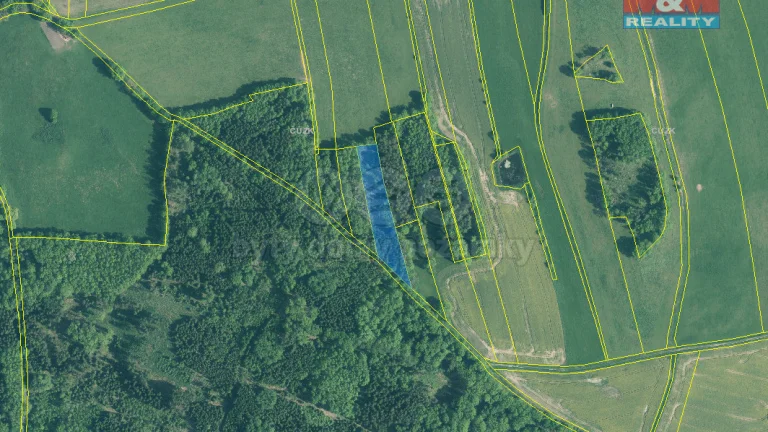Prodej lesa, 5564 m², Skály