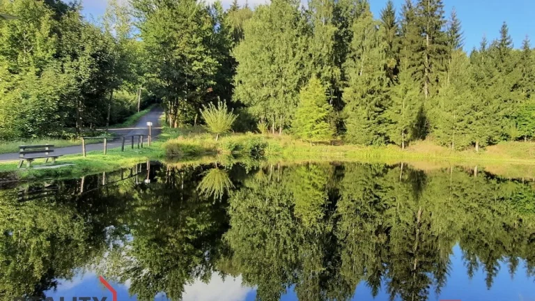 Prodej, pozemky/rybník, 5094 m2, Na Moravě 505, Desná II, 46
