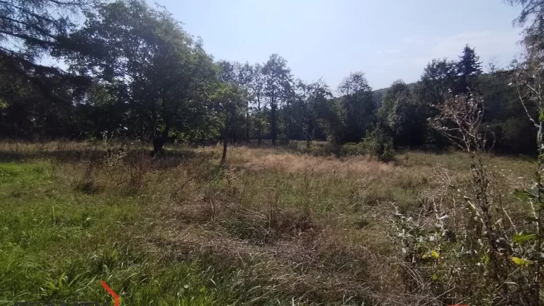 Prodej, pozemky/zahrada, 2433 m2, Orasín 35, 43121 Boleboř,