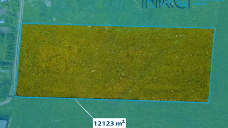 Prodej pozemku, 12123 m2, Týnec u Plané, Planá u Mariánských