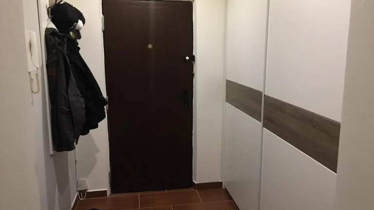 Pronajem bytu v Oseku, 2+1