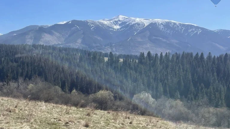 Predaj pozemku v obci Habovka o výmere 1012 m2