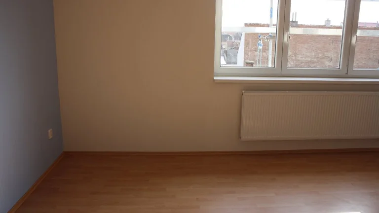 Pronájem bytu 1KK, Brno- Hálkova