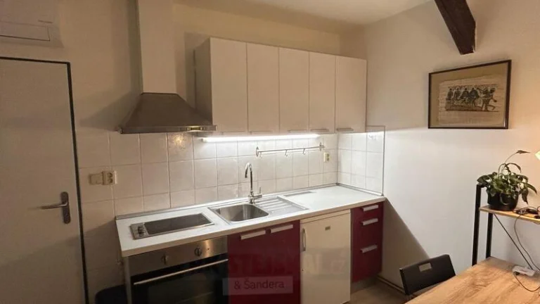 Pronájem bytu 1kk, 22 m2, zahrada, Mánesova ul., České Buděj