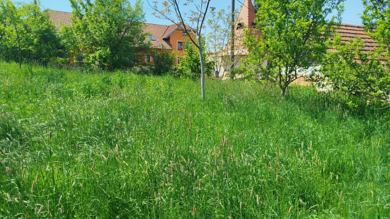 Prodej stavebního pozemku 842 m² Lubná u Kroměříže