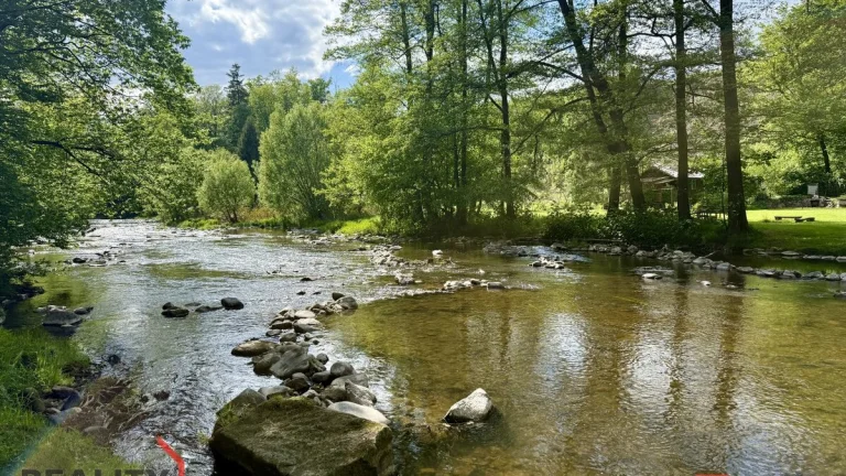 Prodej, domy/chata, 56 m2, 56115 Sopotnice, Ústí nad Orlicí