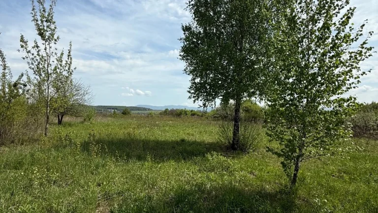 Rekreačný pozemok, Záhrada, 960m2