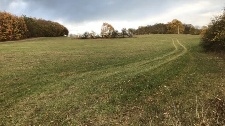 pronájem louky cca 24.000m2 chov koni
