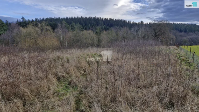 Prodej pozemku o 2983m2 ve Zlaté u Kynšperka nad Ohří