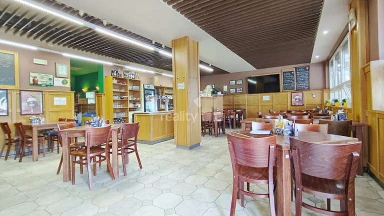 Pronájem zavedené restaurace, Slovenská, Kolín