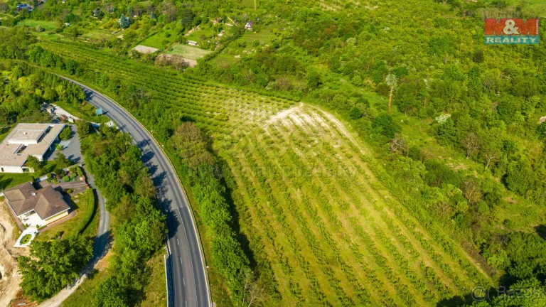 Prodej ovocného sadu, 10048 m², Roudnice nad Labem